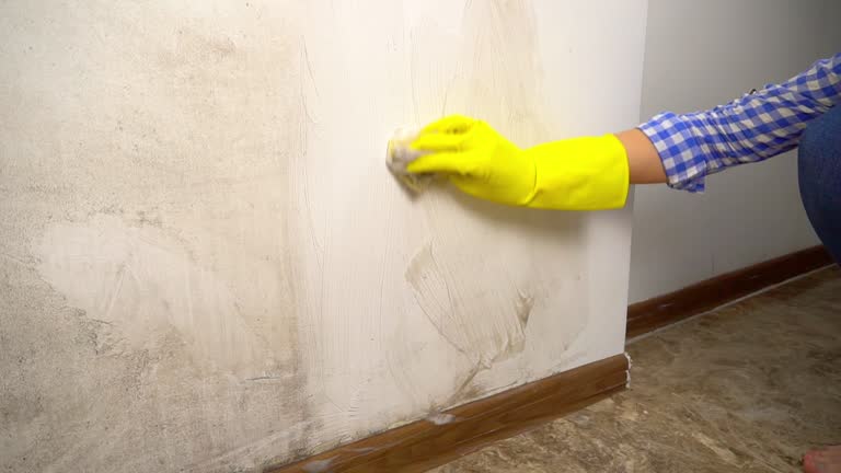 Best Environmental Consulting for Mold Prevention  in Granite Shoals, TX